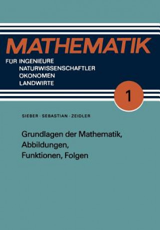 Carte Grundlagen Der Mathematik, Abbildungen, Funktionen, Folgen Detlef Jürgens