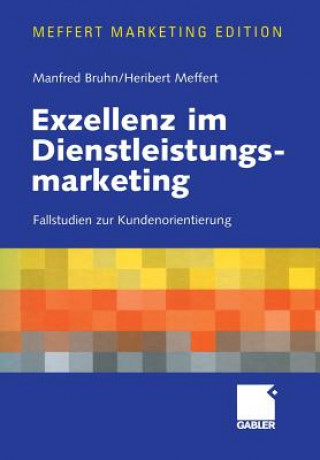 Kniha Exzellenz im Dienstleistungsmarketing Manfred Bruhn