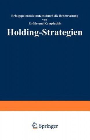 Kniha Holding-Strategien Christof Schulte