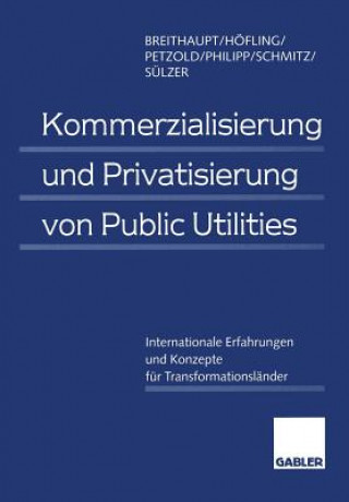 Kniha Kommerzialisierung und Privatisierung von Public Utilities Manfred Breithaupt