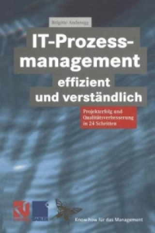 Kniha IT-Prozessmanagement Effizient und Verstandlich Brigitte Anderegg