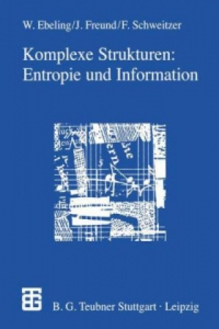 Könyv Komplexe Strukturen: Entropie und Information Jan Freund