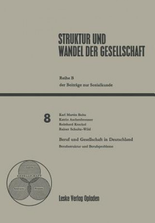 Kniha Beruf Und Gesellschaft in Deutschland Katrin Aschenbrenner