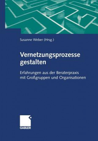 Buch Vernetzungsprozesse Gestalten Susanne Maria Weber