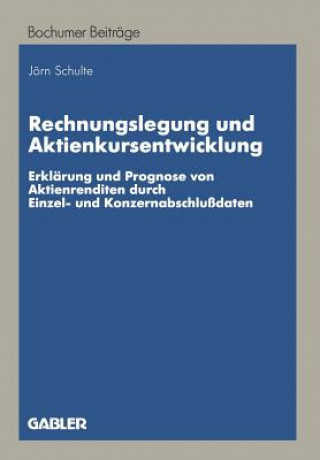 Kniha Rechnungslegung und Aktienkursentwicklung Jörn Schulte