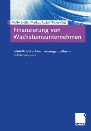 Książka Finanzierung von Wachstumsunternehmen Malte Brettel