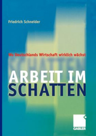 Kniha Arbeit im Schatten Friedrich Schneider