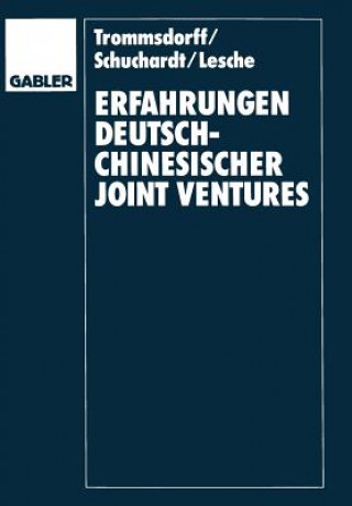 Kniha Erfahrungenglish Deutsch-Chinesischer Joint Venglishtures Volker Trommsdorff