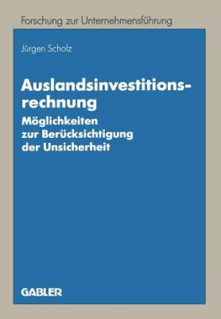 Książka Auslandsinvestitionsrechnung Jürgen Scholz