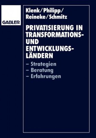 Kniha Privatisierung in Transformations- und Entwicklungslandern Jürgen Klenk