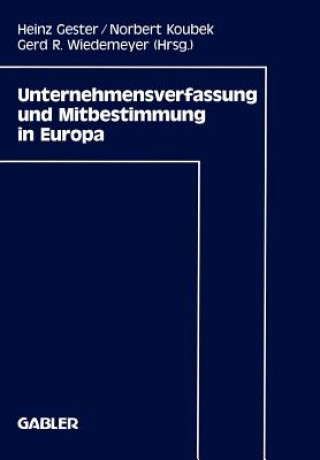 Kniha Unternehmensverfassung und Mitbestimmung in Europa Heinz Gester