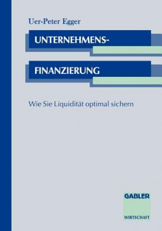 Knjiga Unternehmensfinanzierung Uwe-Peter Egger