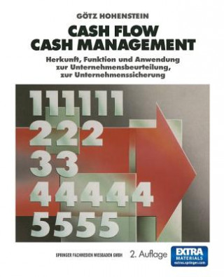 Kniha Cash Flow Cash Management Götz Hohenstein