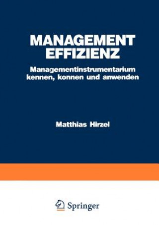 Knjiga Management Effizienz Matthias Hirzel