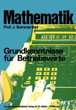 Kniha Mathematik Johannes Sommerfeld