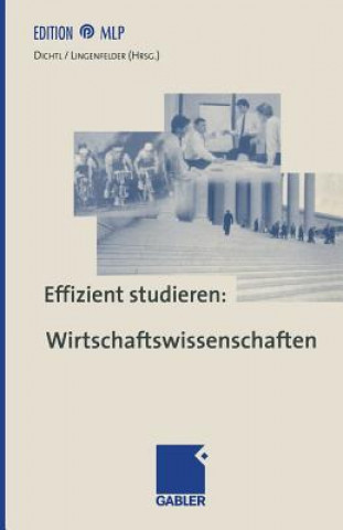 Kniha Effizient Studieren: Wirtschaftswissenschaften Erwin Dichtl