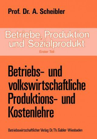 Kniha Betriebe, Produktion und Sozialprodukt Albert Scheibler