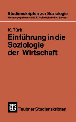 Kniha Einf hrung in Die Soziologie Der Wirtschaft Klaus Türk