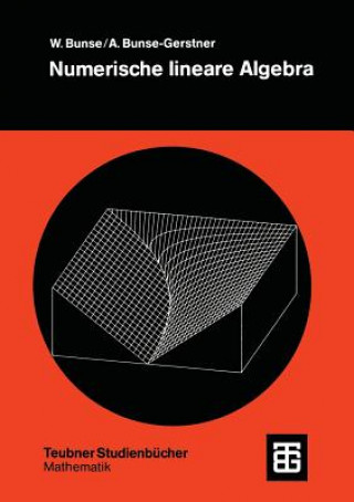 Buch Numerische lineare Algebra Wolfgang Bunse