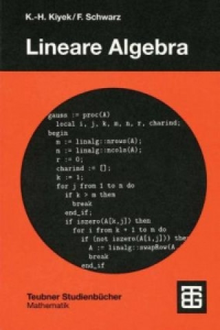Könyv Lineare Algebra Karl-Heinz Kiyek