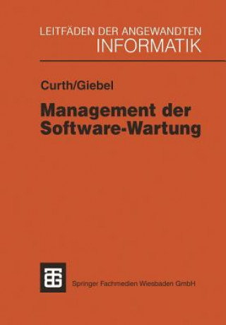 Buch Management der Software-Wartung Michael A. Curth