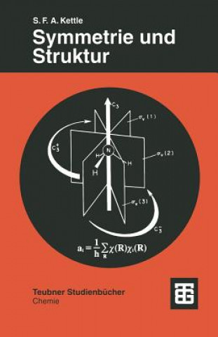 Książka Symmetrie und Struktur Sidney F. A. Kettle