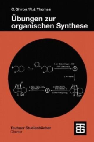 Kniha Ubungen zur Organischen Synthese Chiara Ghiron