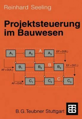 Книга Projektsteuerung Im Bauwesen Reinhard Seeling