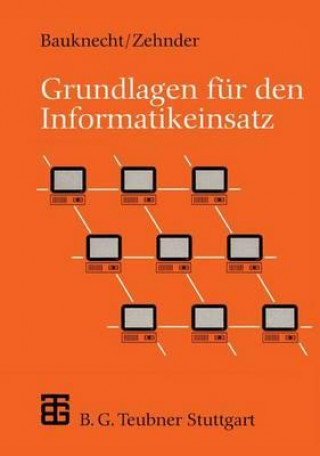 Buch Grundlagen für den Informatikeinsatz Kurt Bauknecht