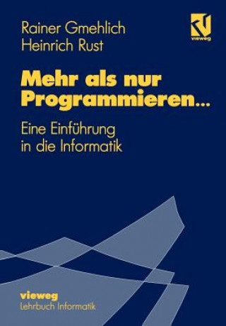 Boek Mehr als nur Programmieren... Rainer Gmehlich
