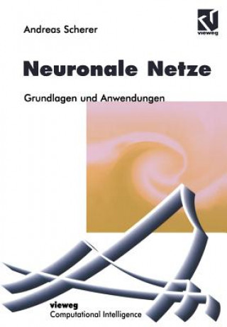 Book Neuronale Netze Andreas Scherer