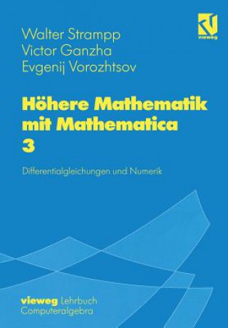 Kniha Höhere Mathematik mit Mathematica Walter Strampp