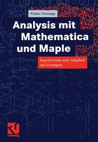 Kniha Analysis mit Mathematica und Maple Walter Strampp