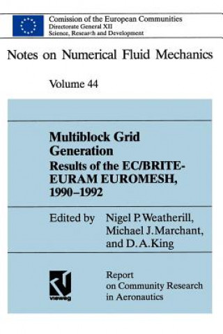 Libro Multiblock Grid Generation Nigel P. Weatherill