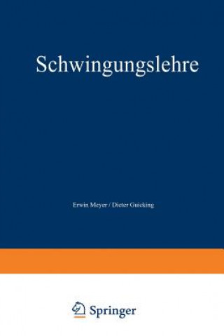 Buch Schwingungslehre Erwin Meyer