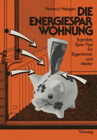 Kniha Die Energiespar-Wohnung Heinrich Hebgen