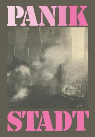 Kniha Panik Stadt Wolfgang Braatz