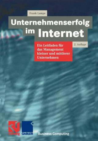 Книга Unternehmenserfolg im Internet Frank Lampe