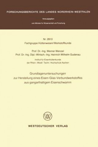 Könyv Grundlagenuntersuchungen zur Herstellung eines Eisen-Glas-Verbundwerkstoffes aus gangarthaltigem Eisenschwamm Werner Wenzel