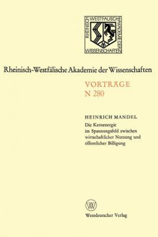 Książka Die Kernenergie im Spannungsfeld Zwischen Wirtschaftlicher Nutzung und Offentlicher Billigung Heinrich Mandel