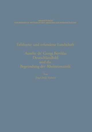 Kniha Erfahrene Und Erfundene Landschaft Jörg-Ulrich Fechner