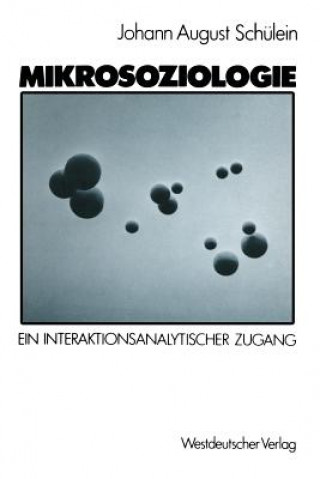 Carte Mikrosoziologie Johann A. Schülein