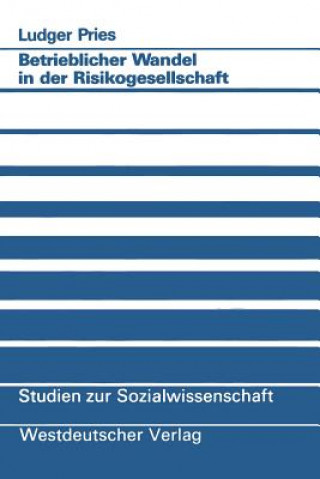 Kniha Betrieblicher Wandel in der Risikogesellschaft Ludger Pries