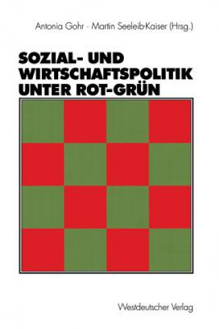 Книга Sozial- und Wirtschaftspolitik Unter Rot-Grun Antonia Gohr