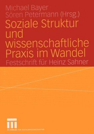 Kniha Soziale Struktur und Wissenschaftliche Praxis im Wandel Michael Bayer