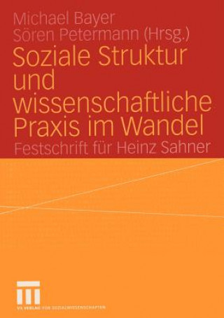 Buch Soziale Struktur und Wissenschaftliche Praxis im Wandel Michael Bayer