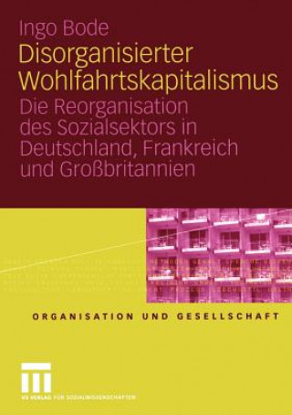 Kniha Disorganisierter Wohlfahrtskapitalismus Ingo Bode