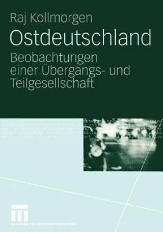 Buch Ostdeutschland Raj Kollmorgen