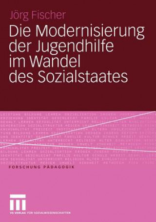 Knjiga Die Modernisierung der Jugendhilfe im Wandel des Sozialstaates Jörg Fischer