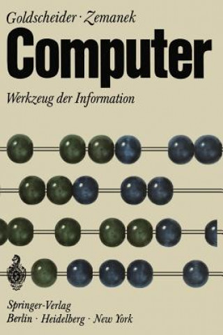 Buch Computer Peter Goldschneider